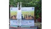 Curtain Raiser for IDY-2024